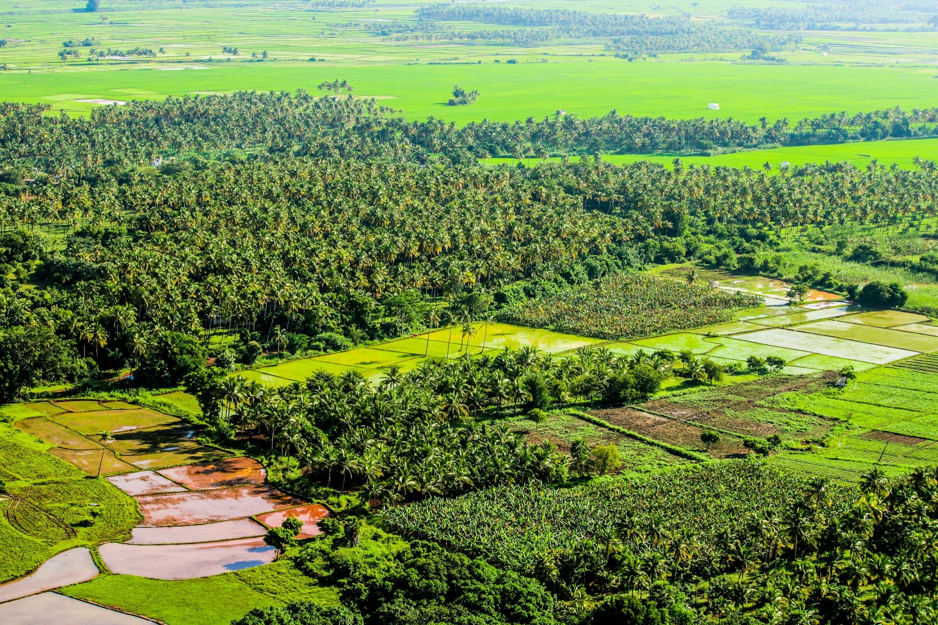 House plots and land